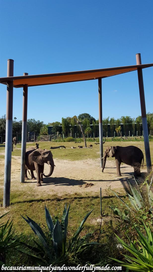 12984016_10154174966824828_7936835846612891080_o