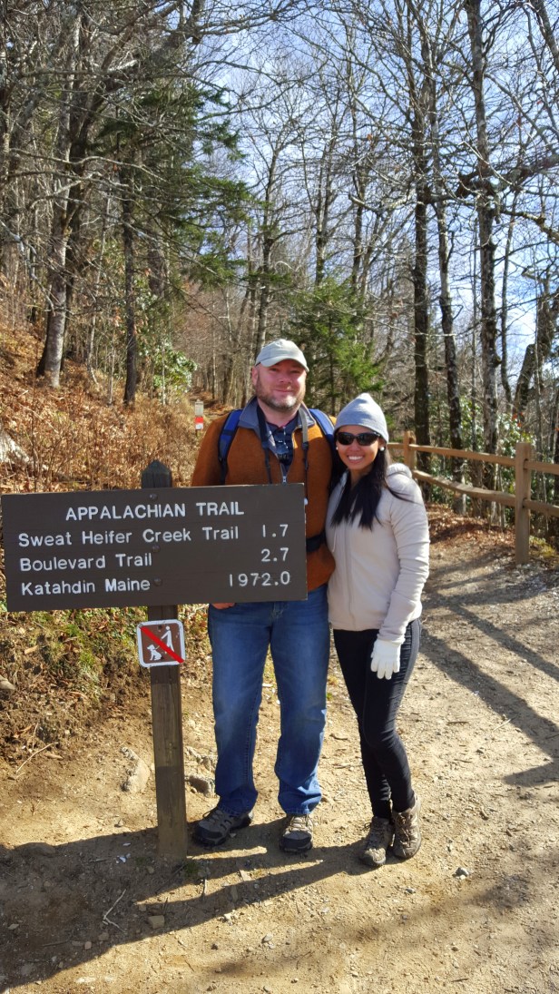 The Appalachian Trail in the Great Smoky Mountain.
