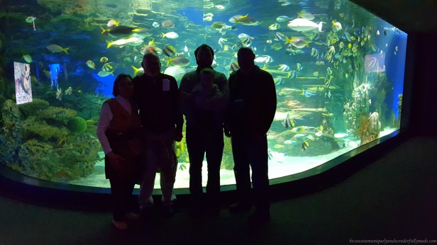 At Ripley's Aquarium of the Smokies in Gatlinburg, Tennessee.