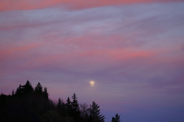 The Great Smoky Mountain National Park at dusk.