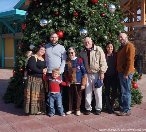 Family Christmas 2015