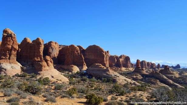Monoliths of red rock called the Garden of Eden in Arches National Park near Moab Utah, USA.
