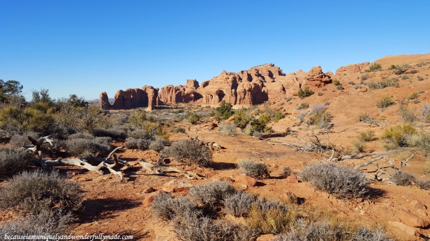 The Double Arch and Parade of Elephants from a distance in Arches National Park near Moab Utah, USA.