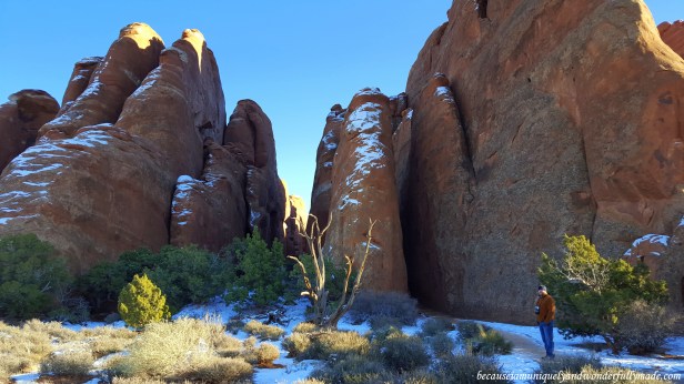 Closer view of the red-orange fins at Sand Dune Arch in Arches National Park in Utah.