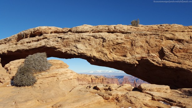 The Mesa Arch at Canyonlands National Park, which is roughly 50 feet long and 15 feet high on a cliff, offers an exceptional lookout of a breathtaking view of a deep canyon below. 