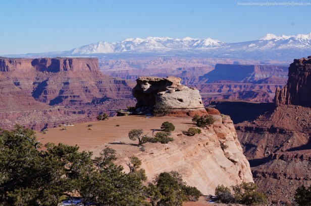 At the Shafer Canyon Overlook with the La Sal Mountains in the background at Island in the Sky district in Canyonlands National Park in Moab, Utah.