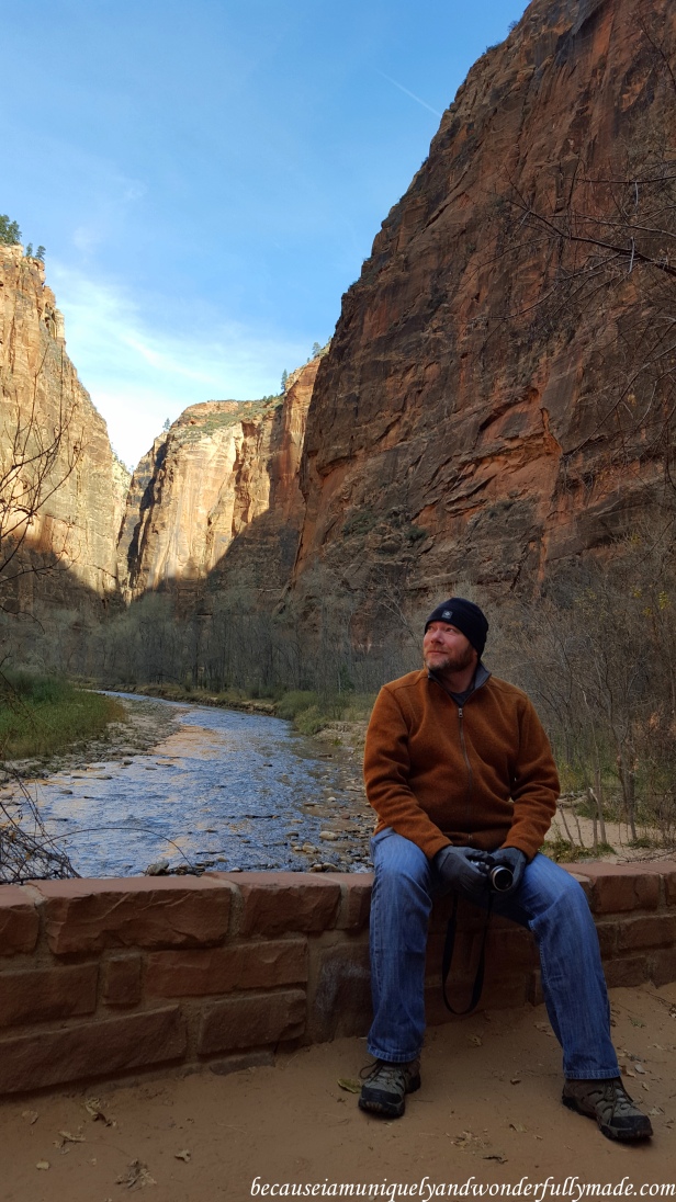 The sun's rays were starting to hit the sandstone cliffs on our Riverside Walk at Zion National Park in Utah. 