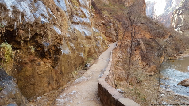 The Riverside Walk at Zion National Park in Utah was only two miles but the ice sheets formed on the wall cliffs along the trail made it extra interesting. 