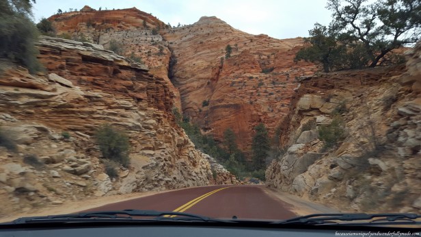 becauseiamuniquelyandwonderfullymade.com