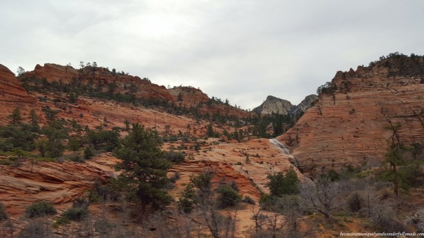 Driving out of Zion National Park in Utah.