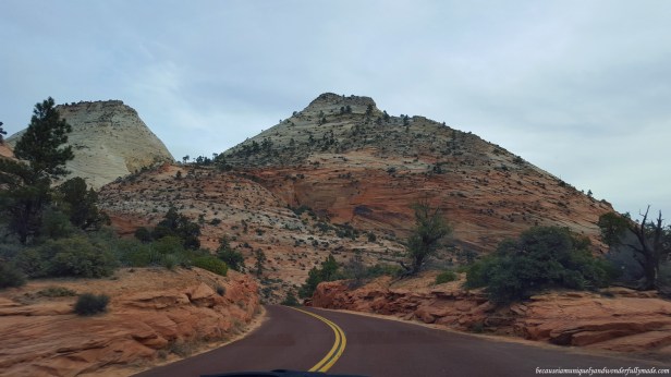 Driving out of Zion National Park in Utah.