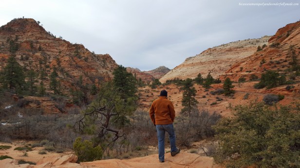 Last hurrah at Zion National Park in Utah, USA.