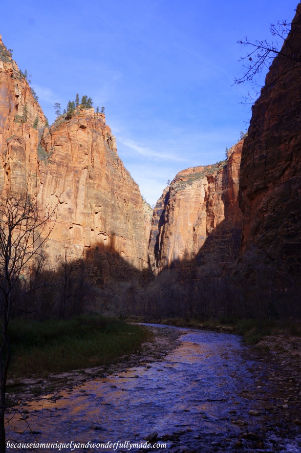 Riverside Walk, also known as the Gateway to the Narrows, at Zion National Park in Utah.