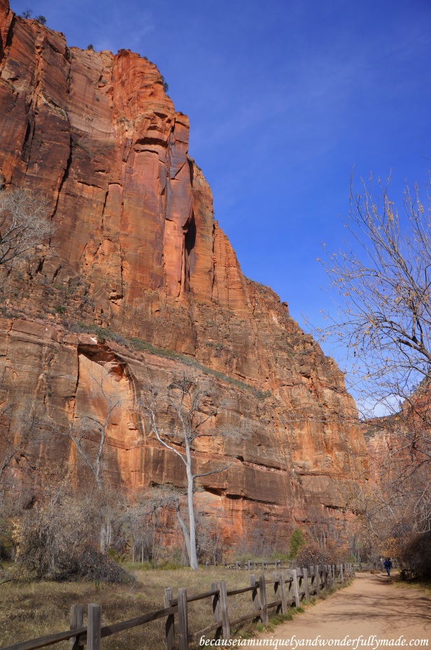 North fork of the Virgin Narrows trailhead at Zion National Park in Utah. 