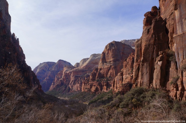 View of the canyon overlooking from the Weeping Rock at Zion National Park in Utah.