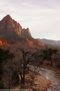 The landscape at Zion National Park in Springdale, Utah unfolded from reddish orange to a glorious amber gold during sunset.
