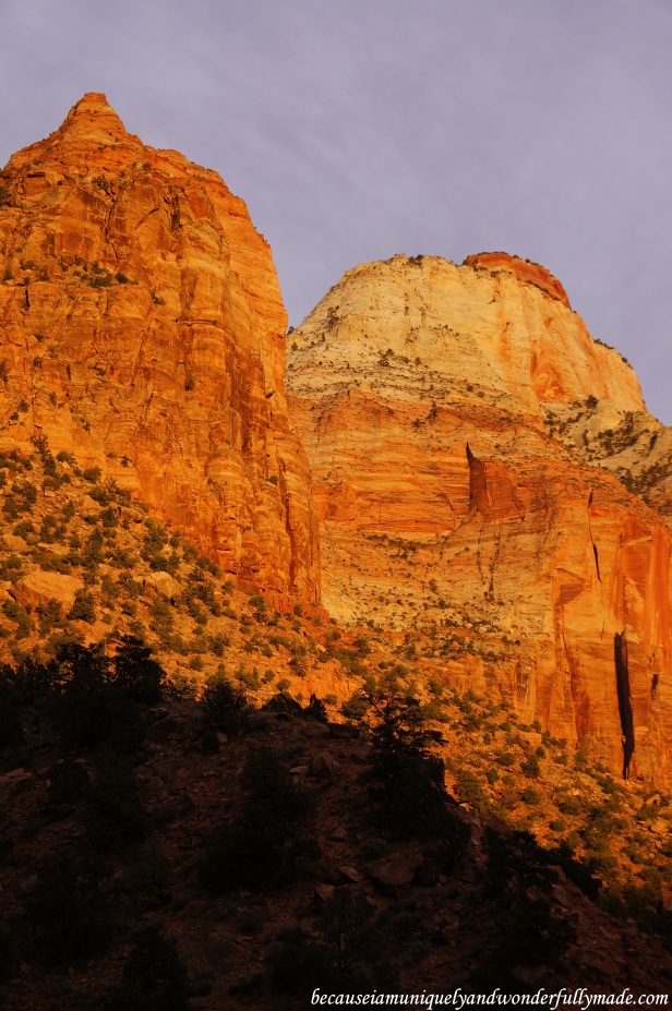 The landscape at Zion National Park in Springdale, Utah unfolded from reddish orange to a glorious amber gold during sunset.