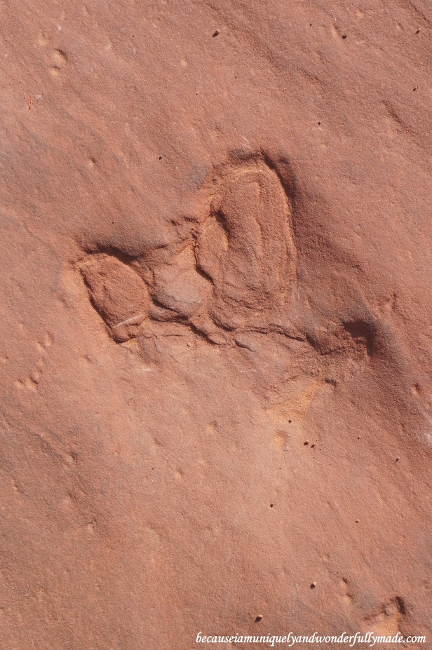 A dinosaur footprint outside the Lower Antelope Canyon in Page, Arizona.