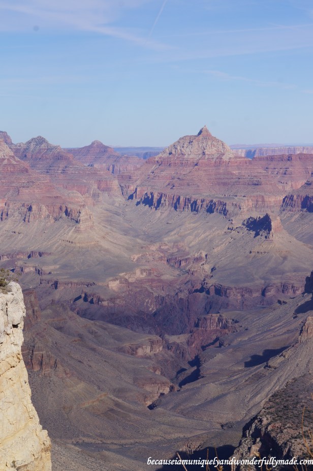 Looking out the Grand Canyon from the Duck on the Rock viewpoint.