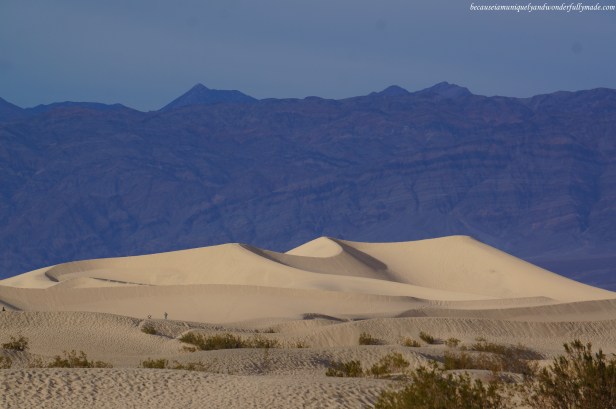 The mesmerizing Mesquite Flat Sand Dunes of Death Valley National Park in California.