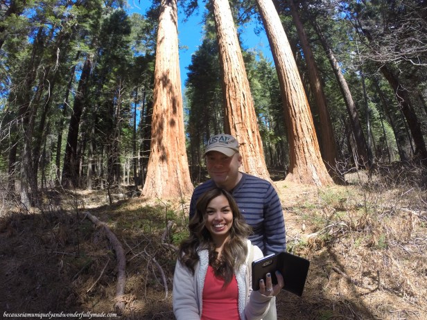 Placer County Sequoia Grove