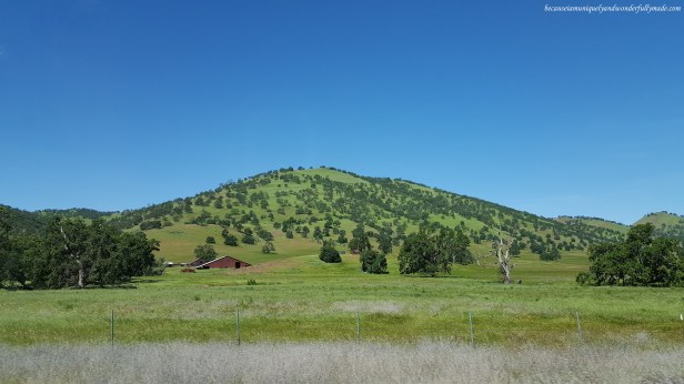 Random sights along US Highway 20 in spring when the hills are carpeted in green grass