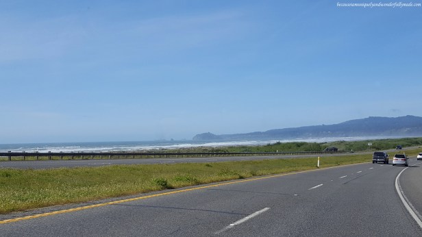 Our first sight of the Pacific Ocean as we were driving on US Highway 101 on our way to Redwood National Park.