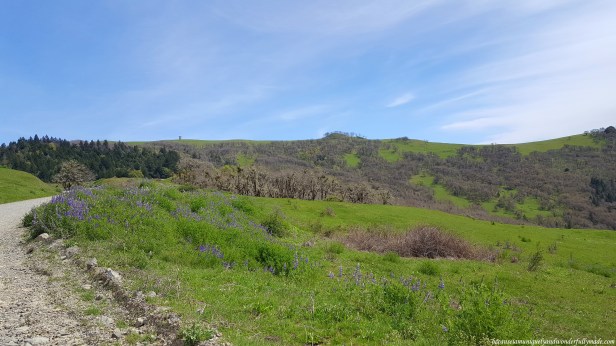 becauseiamuniquelyandwonderfullymade.com