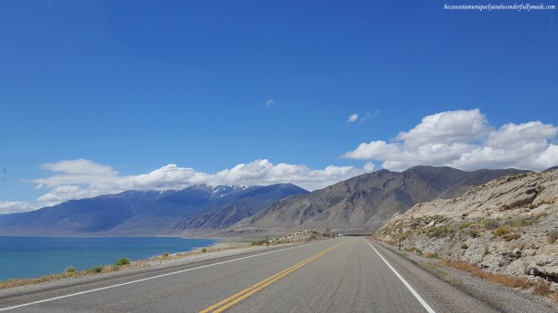 Walker Lake is a terminal lake, meaning it has no outlet. It is fed by the Walker River with its headwaters in the Sierra Nevada in California.