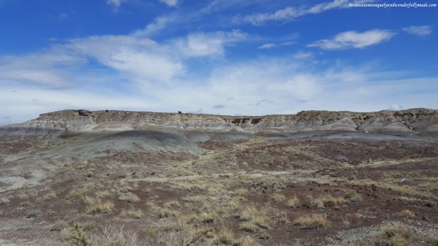 It is hard to believe that this desert used to be filled with water and bountiful of life like dinosaurs thousands of years ago.
