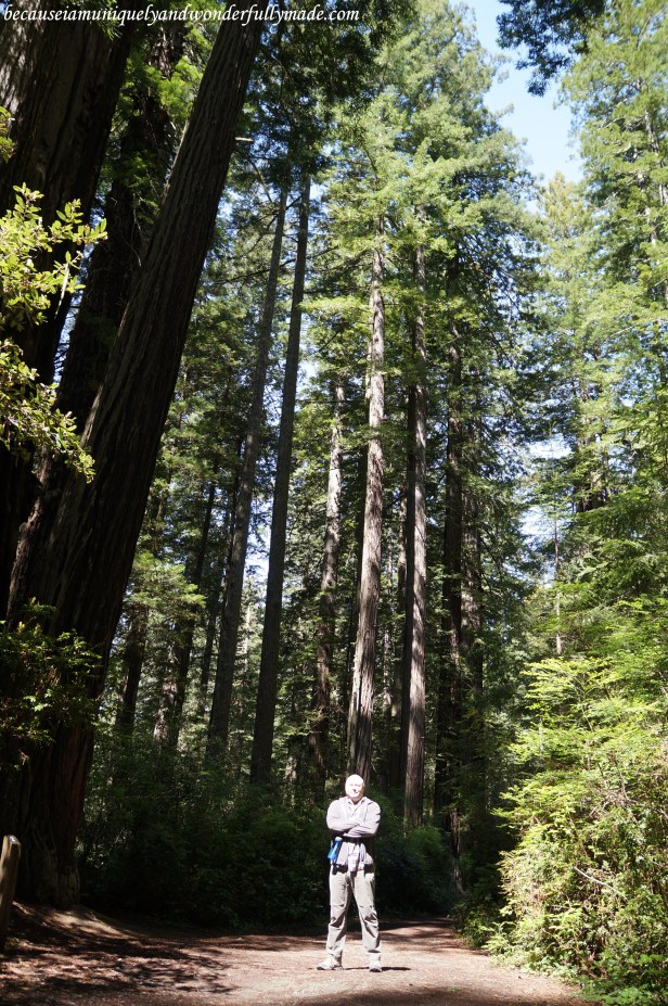 Starting our Lady Bird Johnson Grove Trail hike with a smile.
