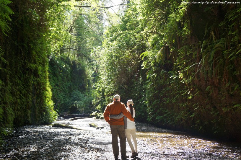 Fern Canyon at Redwood National and State Parks in California.