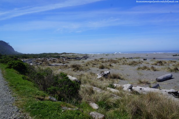 Just a little north of this beautiful Beach Bluff is the start of the Fern Canyon Trail Loop in Redwood National and State Parks in California.