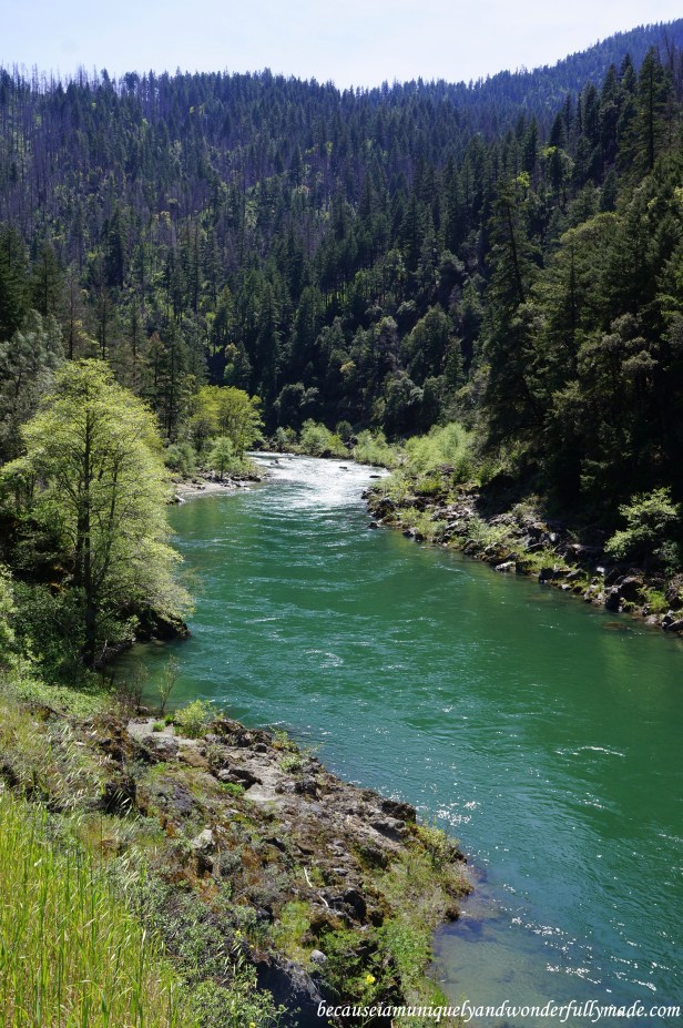Random sights on our way home from Redwood National and State Park.
