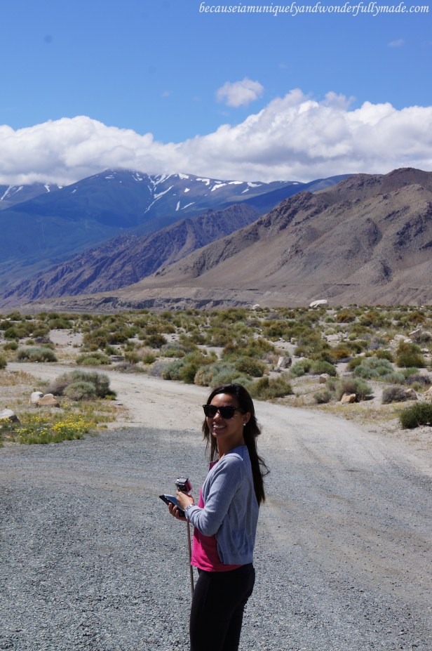 Had a bit of a stroll around Walker Lake in Nevada. 