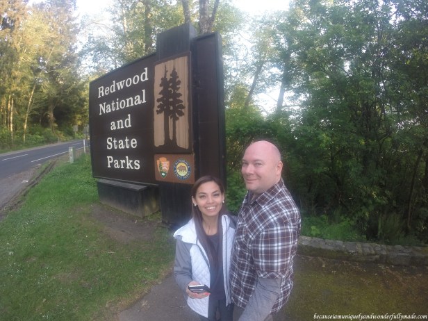 Redwood National and State Parks
