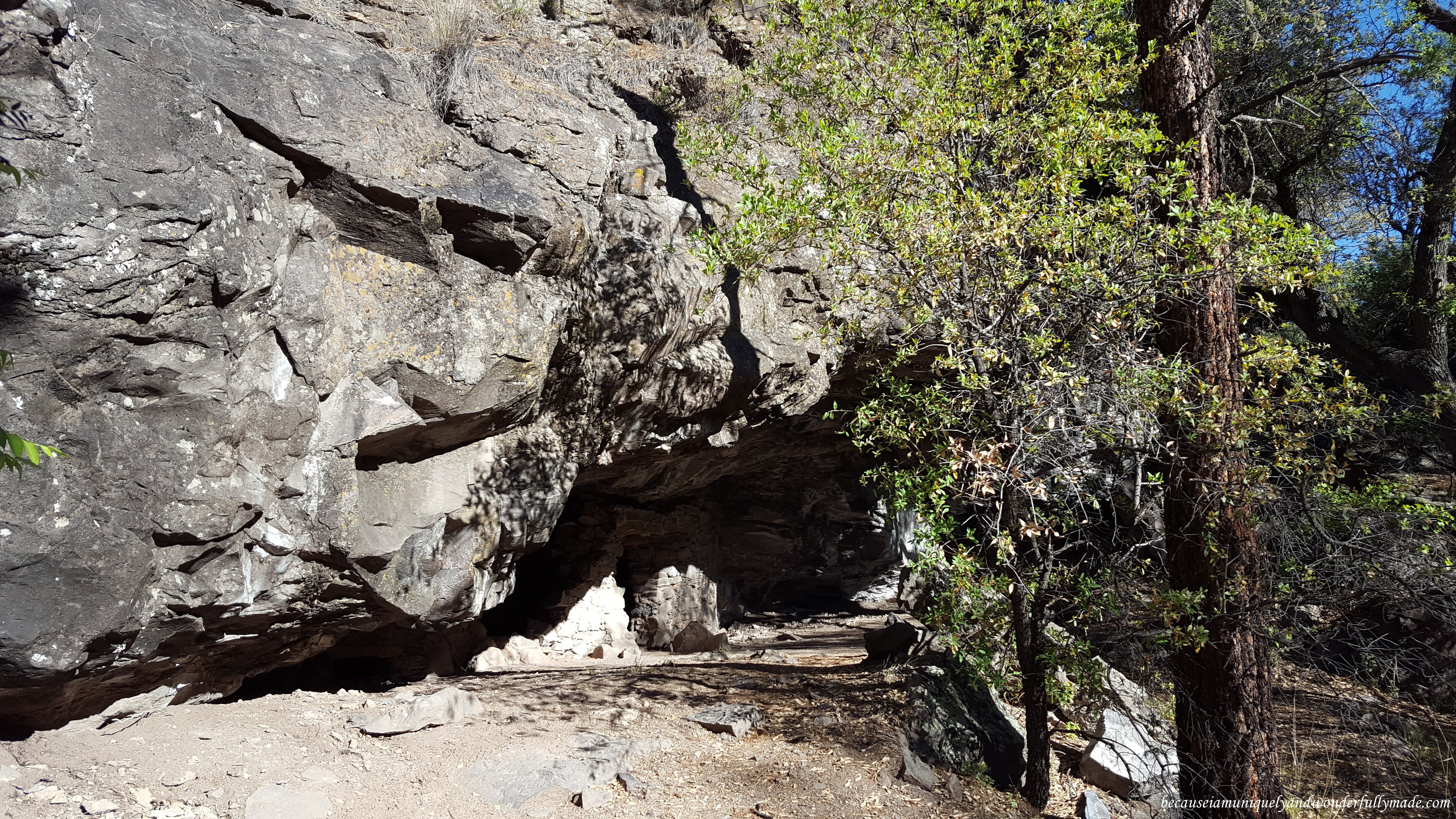 The other branch of the Trail to the Past at Gila National Forest leads to this small cave dwelling. It is located near Lower Scorpion campground.