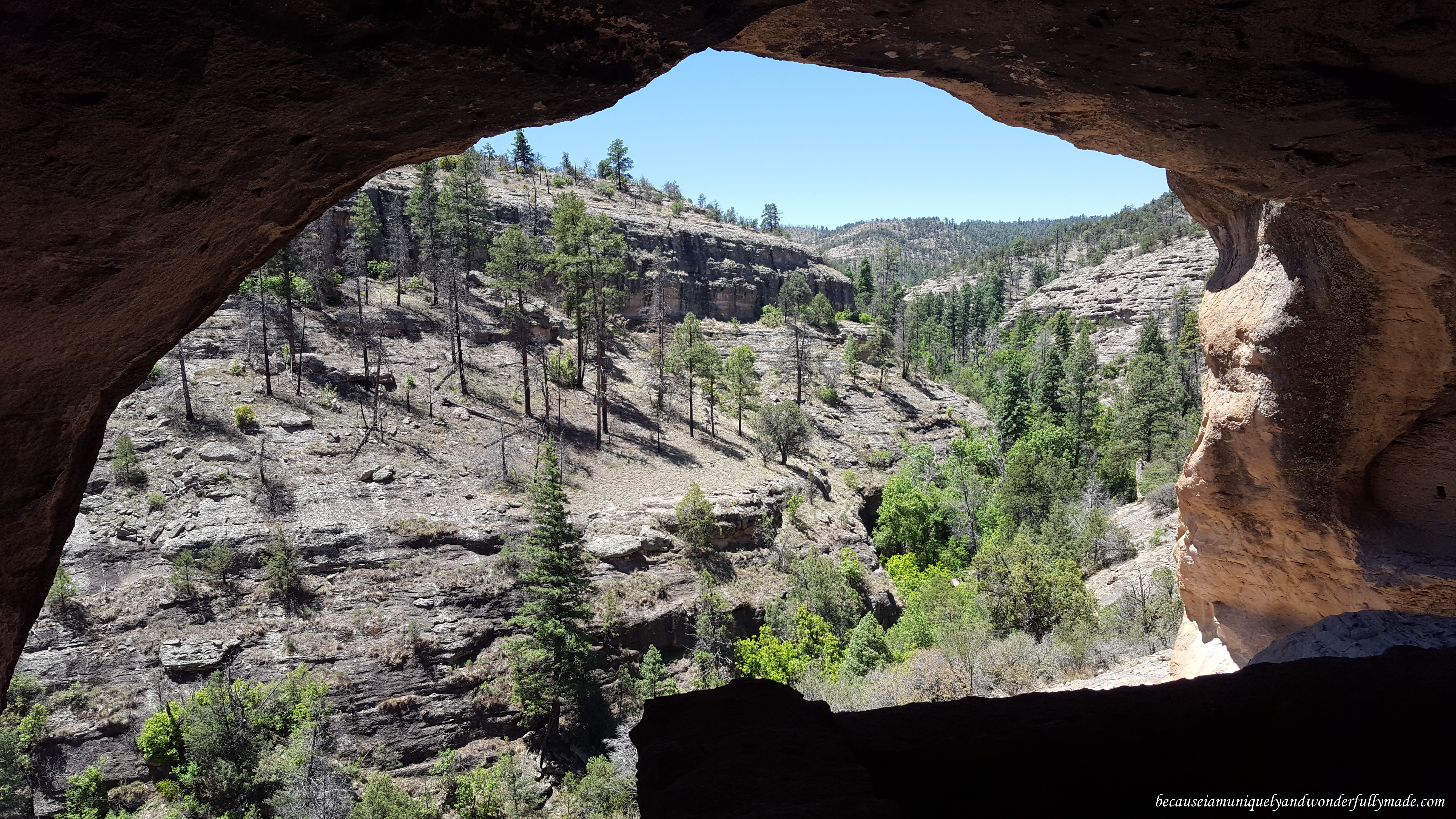 The view from inside the Gila cliff dwellings.