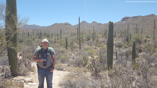 Hiking the Valley View Overlook Trail witnessing the arid Saguaro National Park in Tucson, Arizona.
