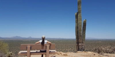 The top of the Valley View Overlook trail in Saguaro National Park offers a magnificent sight of the Avra Valley and the Picacho Peak can be viewed to the north.