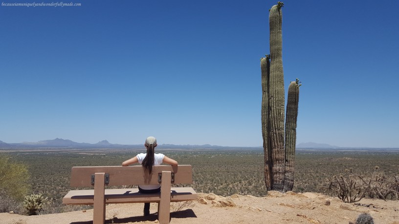 The top of the Valley View Overlook trail in Saguaro National Park offers a magnificent sight of the Avra Valley and the Picacho Peak can be viewed to the north.