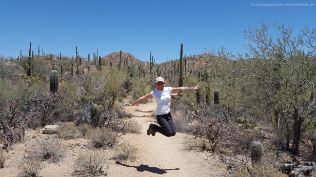 Hiking at Valley View Overlook trail at Saguaro National Park in late spring presented us with some insect issues. Despite some arthropod issues, saguaro cactus left us in awe.