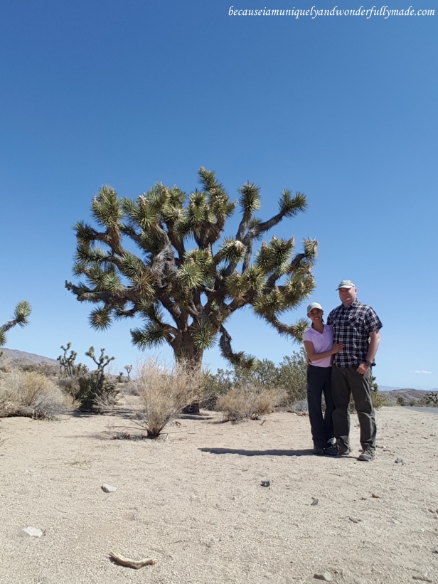 Our first photo with a Joshua tree at Joshua Tree National Park.