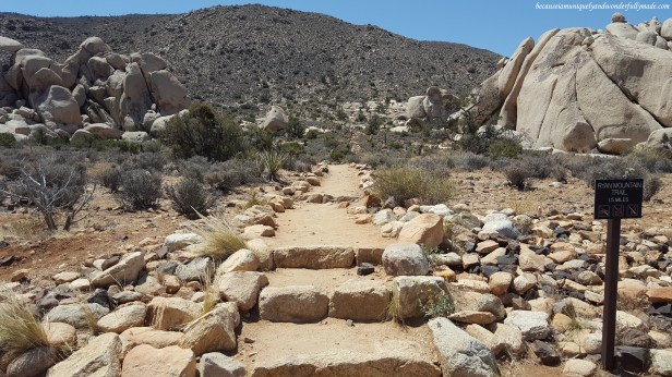 Ryan Mountain Trail in Joshua Tree National Park in California.