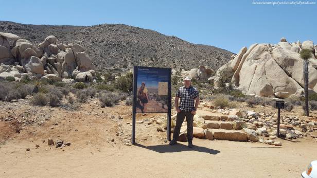 Ryan Mountain Trail leads to the second tallest peak in Joshua Tree National Park.