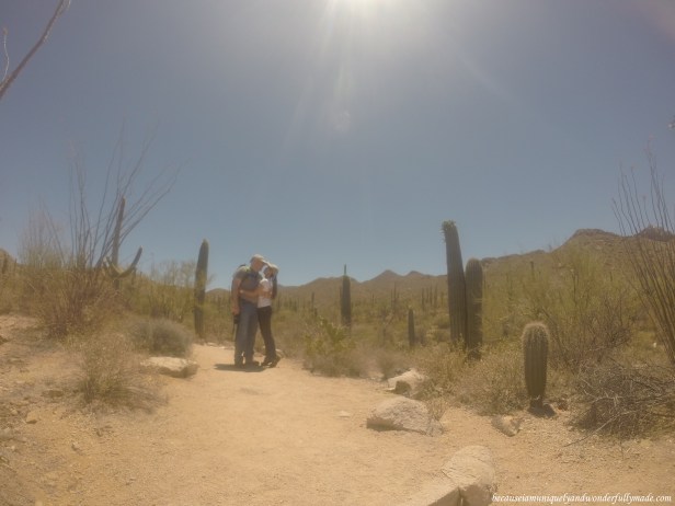 Hiking the Valley View Overlook trail in Saguaro National Park in Tucson, Arizona.