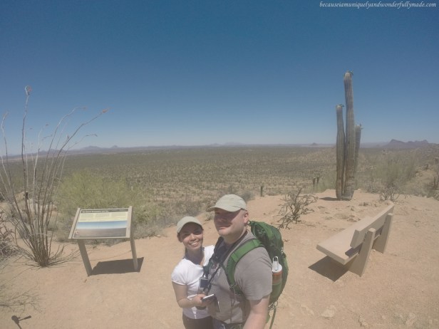The top of the Valley View Overlook trail in Saguaro National Park offers a magnificent sight of the Avra Valley and the Picacho Peak can be viewed to the north.
